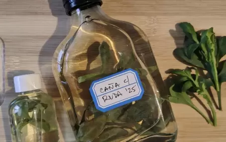 Caña con ruda