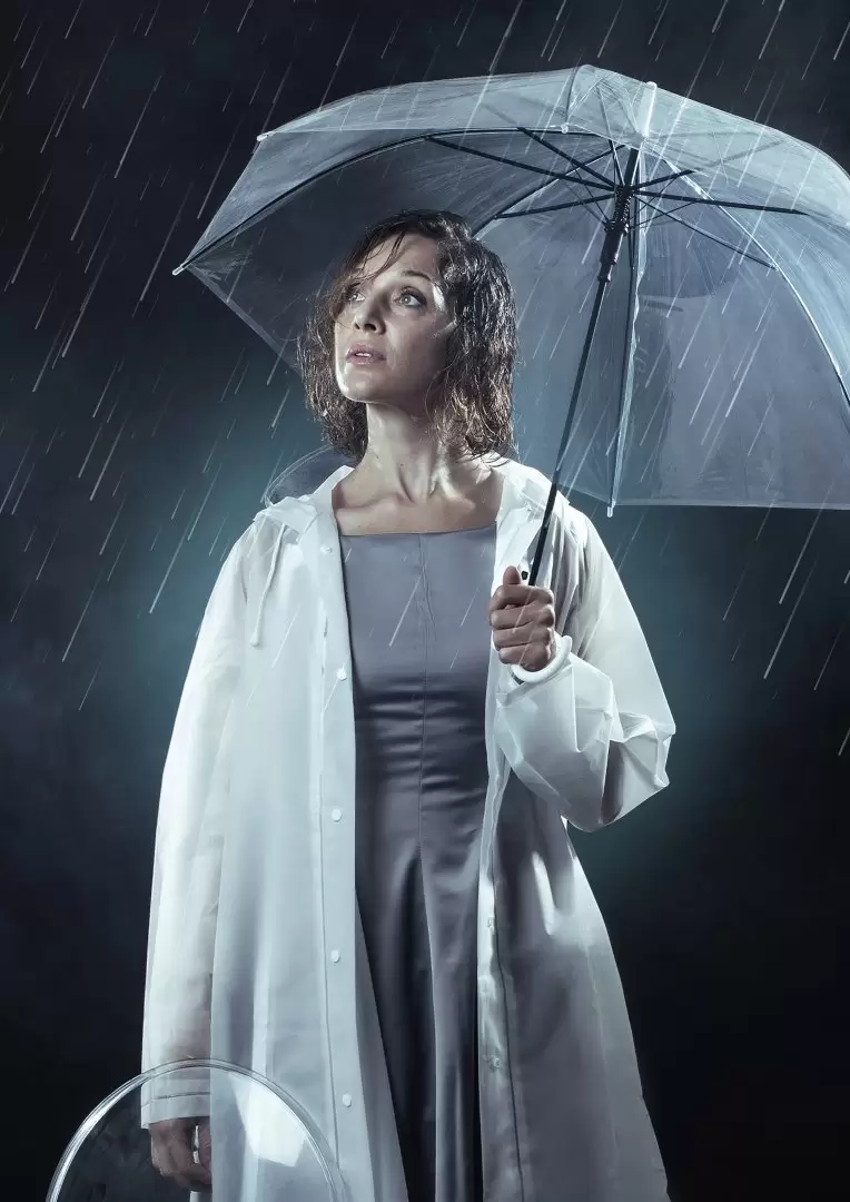 La obra narra la historia de una mujer que, un da lluvioso, descubre un pequeo tesoro.