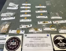 La mujer guardó los elementos en su equipaje de mano y bodega.