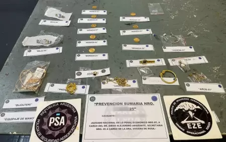La mujer guardó los elementos en su equipaje de mano y bodega.