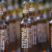 "Nunca se protegi la salud como se deba": familiares apuntan a funcionarios y a la ANMAT