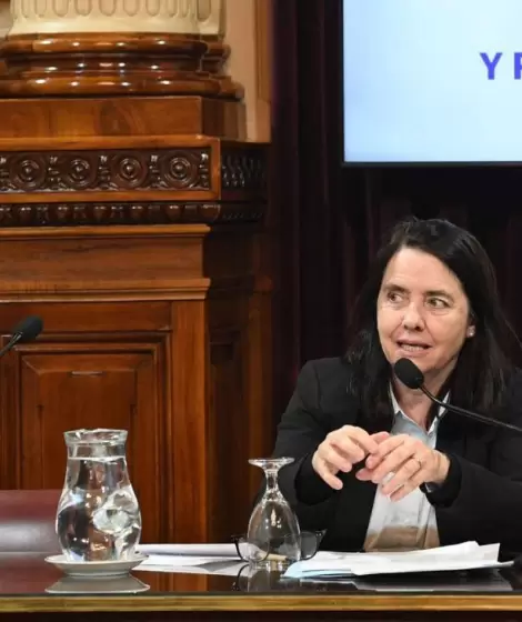 La senadora cordobesa del PRO, Carmen lvarez Rivero