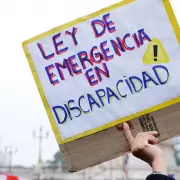 Estos son los 75 diputados que votaron en contra de la Ley de Emergencia en Discapacidad