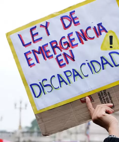 Ley de Emergencia en Discapacidad