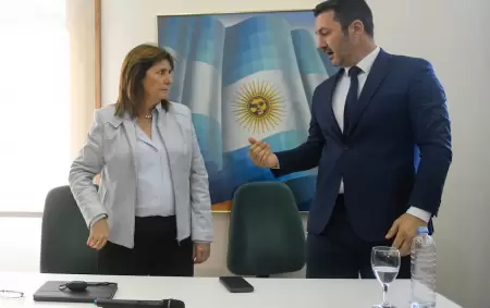 Patricia Bullrich y Luis Petri