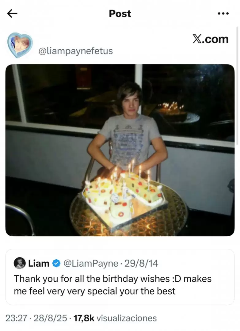 Las fanticas de Liam Payne lo recordaron en su cumpleaos nmero 32
