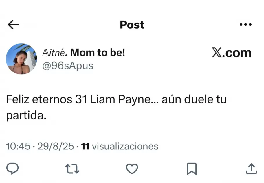 Las fanticas de Liam Payne lo recordaron en su cumpleaos nmero 32