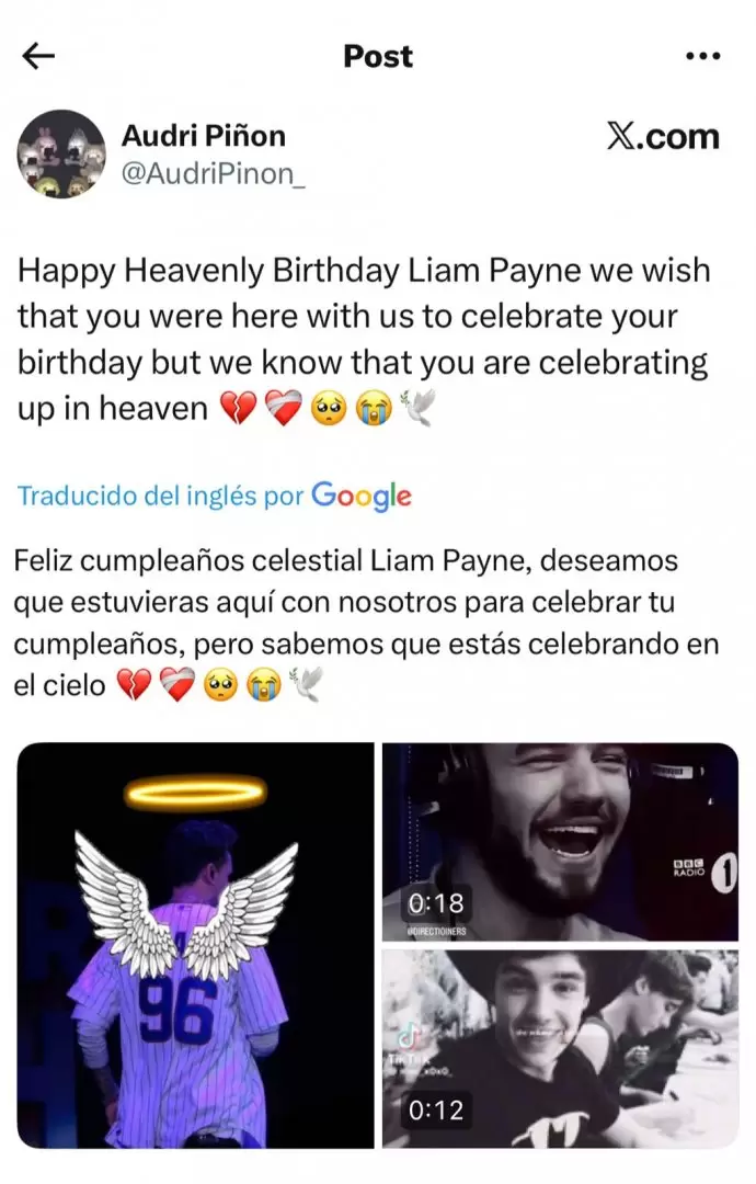 Las fanticas de Liam Payne lo recordaron en su cumpleaos nmero 32