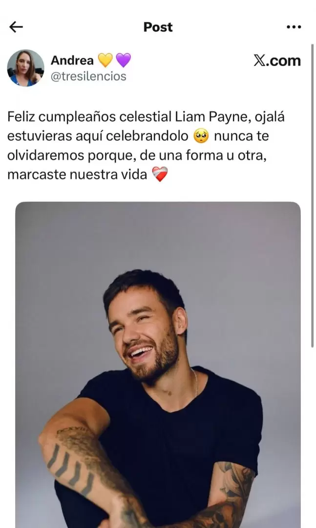 Las fanticas de Liam Payne lo recordaron en su cumpleaos nmero 32