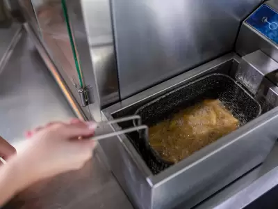 Freidoras de alto rendimiento permiten lograr crocancia sin comprometer sabor ni practicidad.