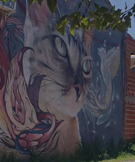 Isla Maciel, ese barrio tantas veces relegado y sealado, hoy brilla como una galera a cielo abierto