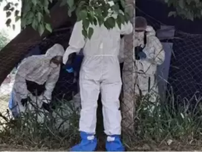 La Polica Cientfica trabaja en el lugar donde hallaron muerto al hombre de 60 aos acusado de abuso sexual contra su propia nieta.