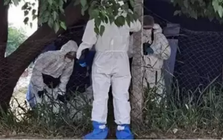 La Polica Cientfica trabaja en el lugar donde hallaron muerto al hombre de 60 aos acusado de abuso sexual contra su propia nieta.