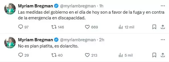 Para Myriam Bregman, las medidas de la jornada "son a favor de la fuga y en contra de la emergencia en discapacidad".