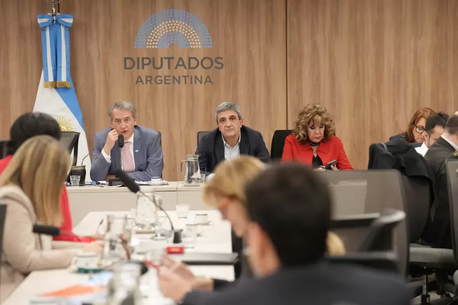 En el centro, Pablo Yedlin en la comisin de Asuntos Constitucionales junto a la de Accin Social y Salud Pblica