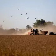 Retenciones cero y "negocio exprs": multinacionales cerealeras se quedaran con 1.500 millones de dlares y el campo qued afuera