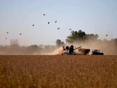 El "negocio exprs" permiti que 11 multinacionales cerealeras se quedaran con 1.500 millones de dlares