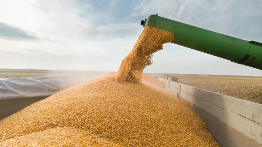 Productores denuncian que la medida solo benefici a grandes exportadores