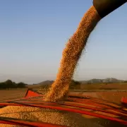 El campo acusa a Milei y Caputo de montar una "estafa" con las retenciones cero