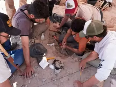 Expedicin Cretcica I en Ro Negro