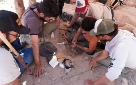 Expedicin Cretcica I en Ro Negro