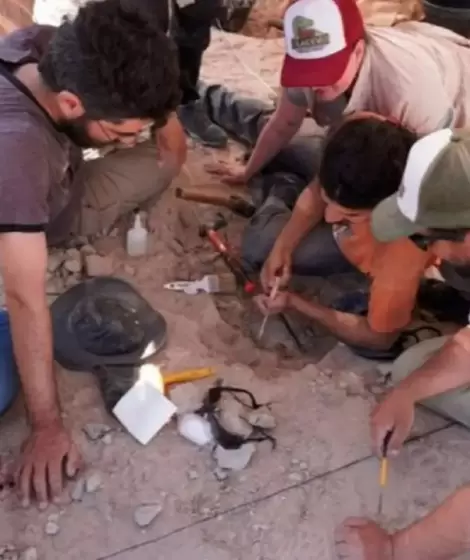 Expedicin Cretcica I en Ro Negro