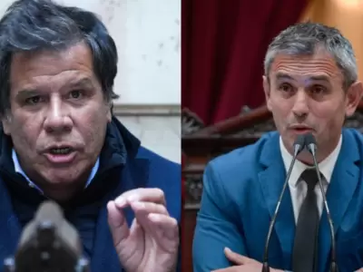 Facundo Manes y Martn Menem.