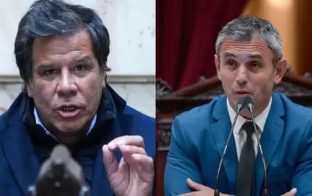 Facundo Manes y Martn Menem.