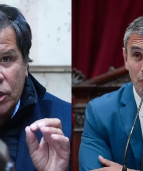 Facundo Manes y Martn Menem.