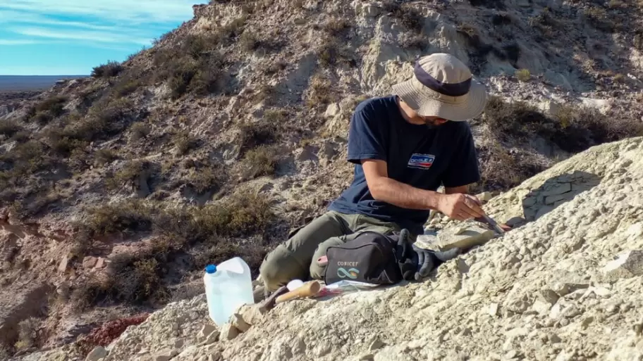 Paleontlogos del CONICET participan de la primera campaa transmitida en vivo para buscar dinosaurios en la patagnia