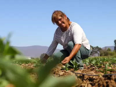 Da Internacional de las Mujeres Rurales