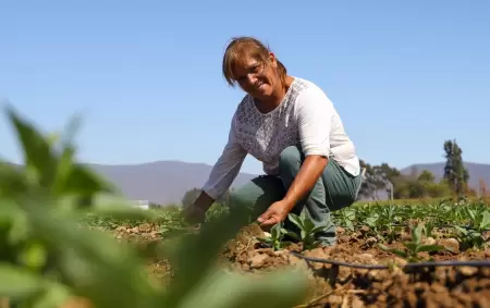 Da Internacional de las Mujeres Rurales