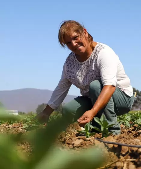 Da Internacional de las Mujeres Rurales