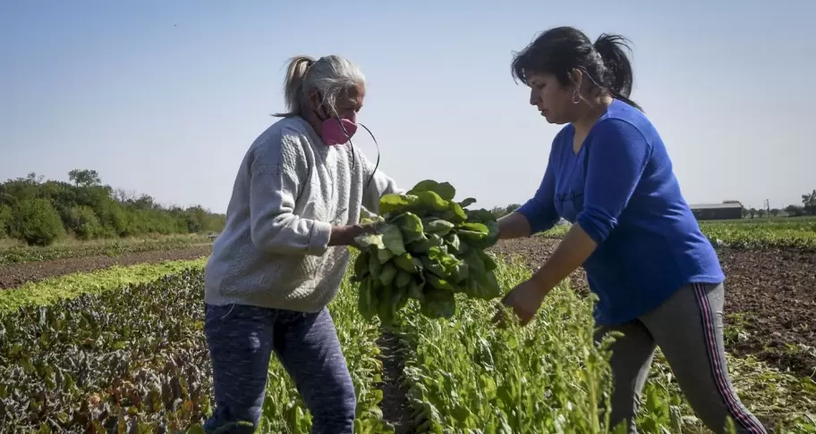 Da Internacional de las Mujeres Rurales