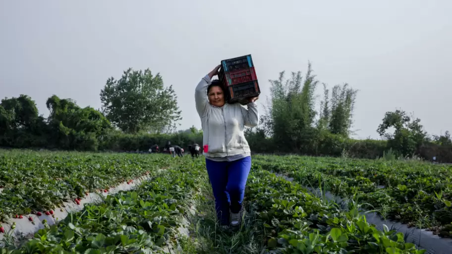 Da Internacional de las Mujeres Rurales