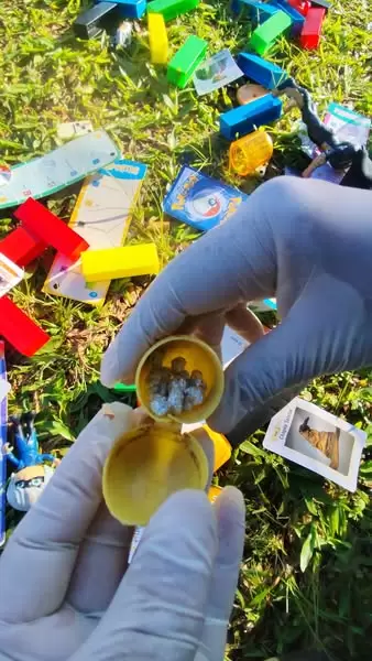 Incautaron cocana para el narcomenudeo en juguetes