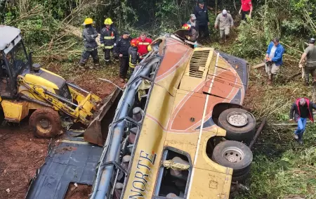 As qued el colectivo que cay al arroyo