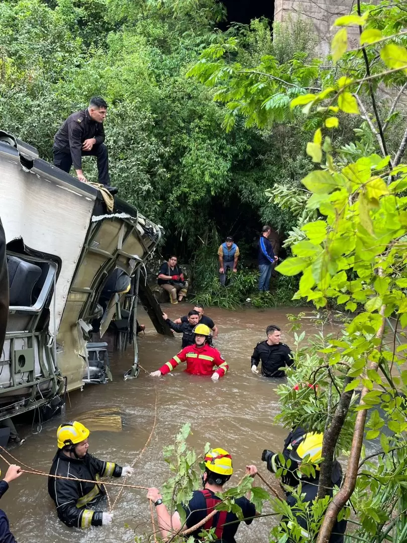 Así quedó el colectivo que cayó al arroyo