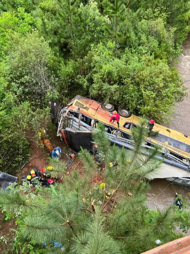 Así quedó el colectivo que cayó al arroyo