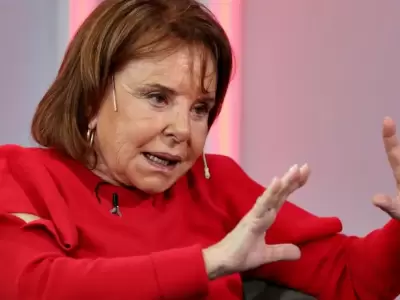 Hilda "Chiche" Duhalde arremeti contra la dirigencia actual del PJ.