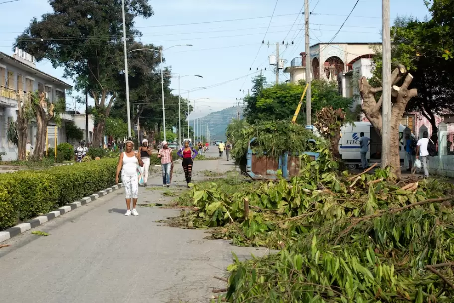 El huracán Melissa tiró árboles en Jamaica, República Dominicana, Haití y Cuba.