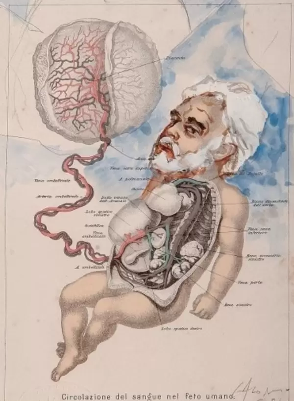 Carlos Presman enfatiza en el diagnostico temprano pero tambin en la "buena actividad fsica fortalece la respuesta inmune y prevenir el cncer"