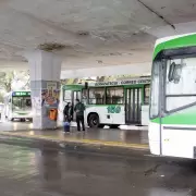 El sur del conurbano, paralizado: colectiveros en paro indefinido por la falta de pago y el atraso en los subsidios nacionales