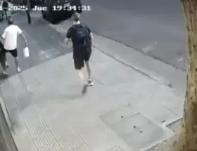 Una nena de 6 aos fue atacada en Palermo