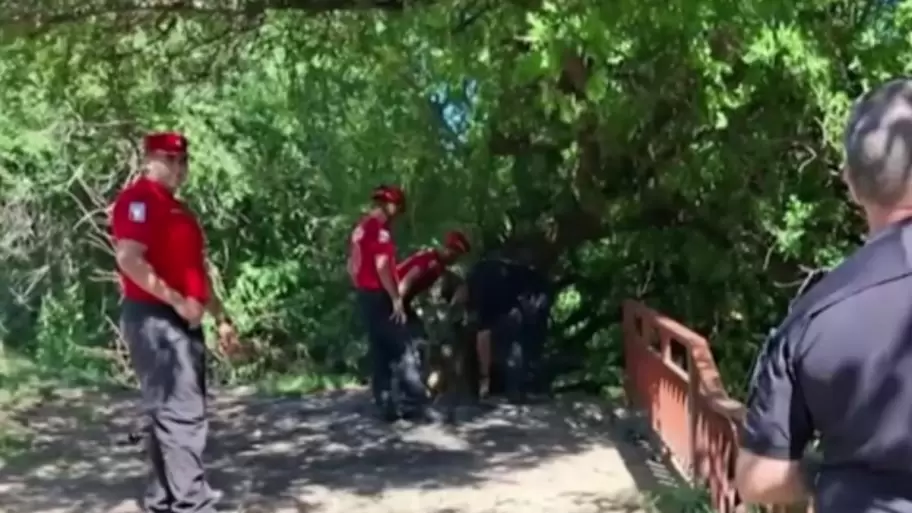 Un perro llevó a su casa una bolsa con resto humanos en Córdoba