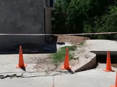 Un perro llev a su casa una bolsa con resto humanos