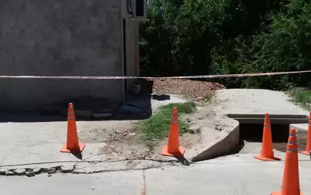 Un perro llev a su casa una bolsa con resto humanos