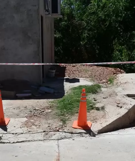 Un perro llev a su casa una bolsa con resto humanos