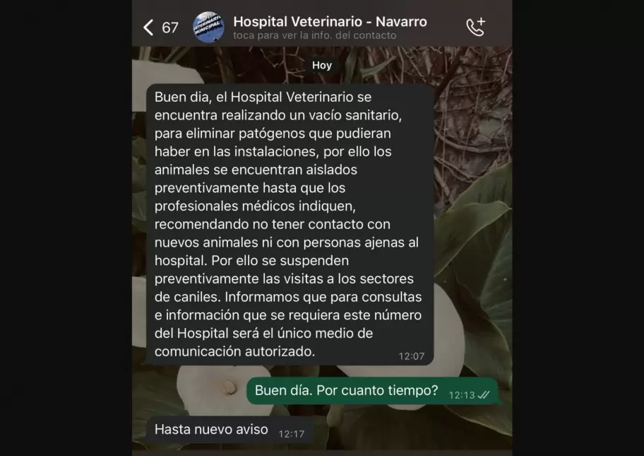 Desde UNAN denuncian el cierre del complejo y peligra la vida de varios perros