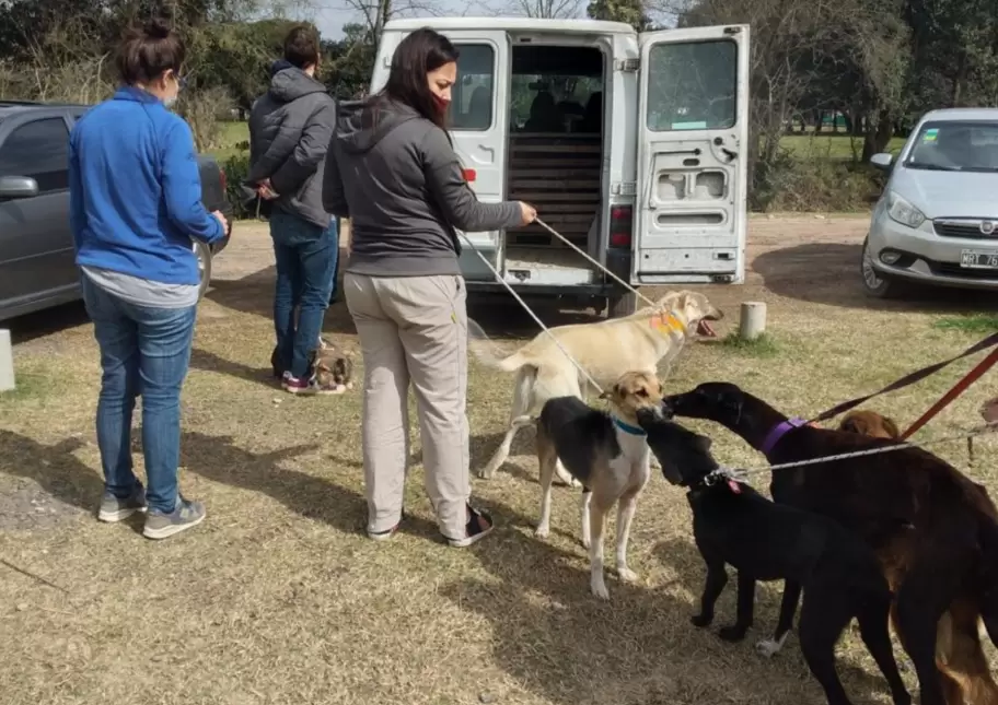 Desde UNAN denuncian el cierre del complejo y peligra la vida de varios perros